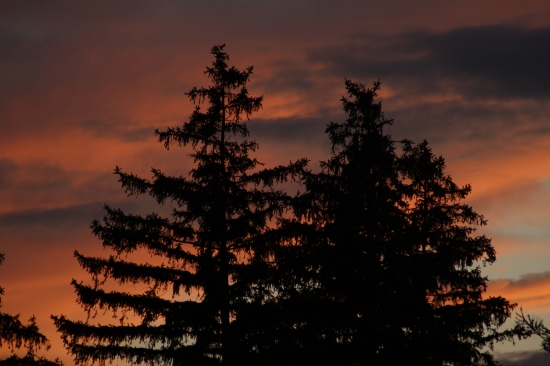 pri cakani z fotakom...