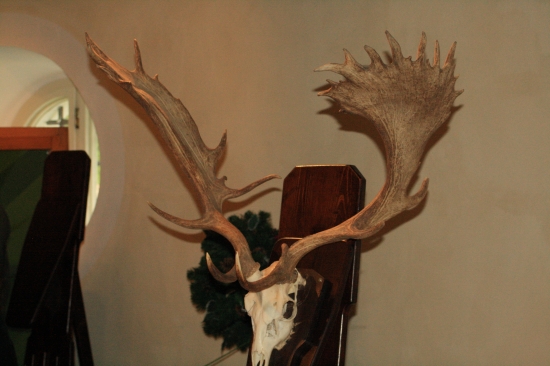 daniel sv.Anton 2010