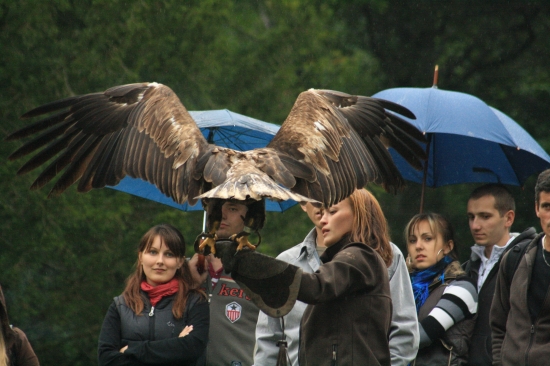 prilet sv. Anton 2010