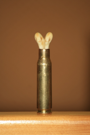 viete čo je v nabojnici???:)