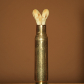 viete čo je v nabojnici???:)