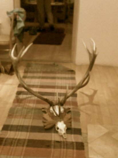 zhody a ta pekna raritka