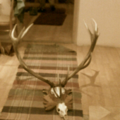 zhody a ta pekna raritka