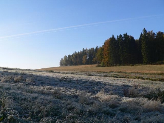ranní mrazík