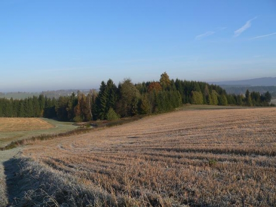 mrazivé ráno