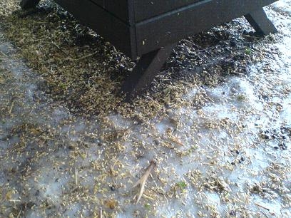 odměna za Vánoční nadílku