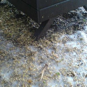 odměna za Vánoční nadílku