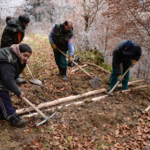 Prepusty na svaznici