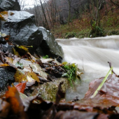 Pekna upršana jeseň