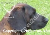 eros