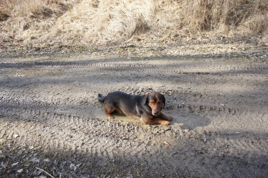 ...prvé jarné kúpanie:-)))!