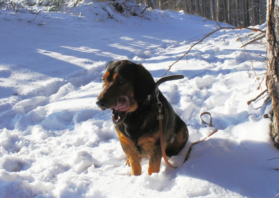 ...srdce na jazyku:-)))!