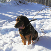 ...srdce na jazyku:-)))!