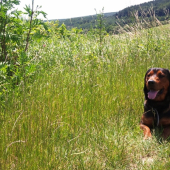 ...odloženýýýý...