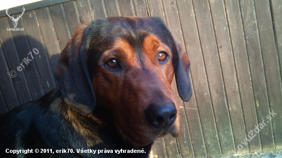 ...kuk...