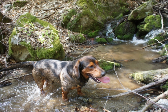 ...vodička moja....