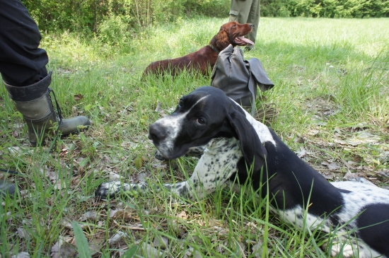 ...kto mi dá piškótku?!