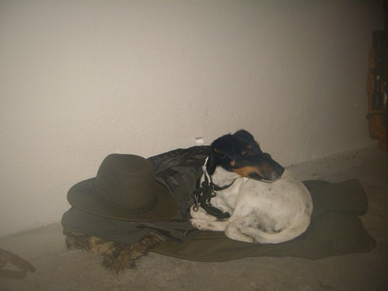 ...unavená po spoločnej...