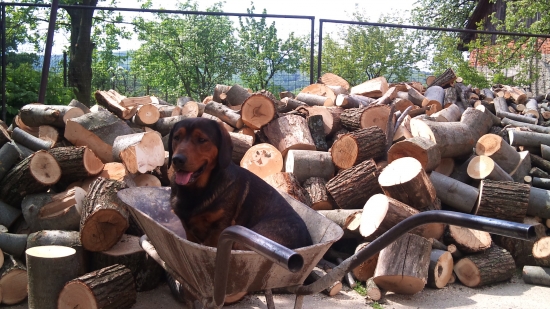 ...a zima ma neprekvapí....:-)))