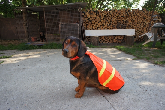 ...už aby začali spoločné:-)!