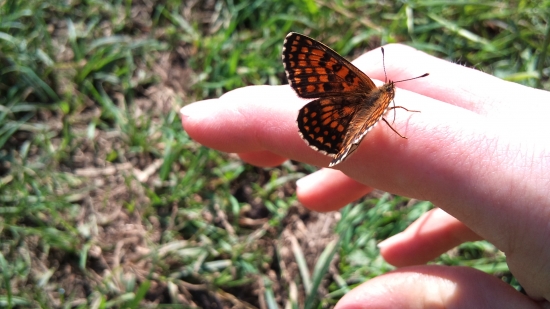 ...môj nový miláčik:-)))!