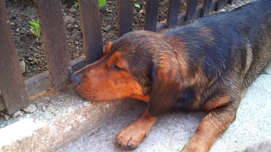 ...panička mi nechcela dať vankúšik, tak som si ustlal sám...