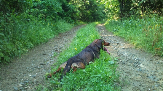 ...a nebudem sa fotiť, a nebudem...