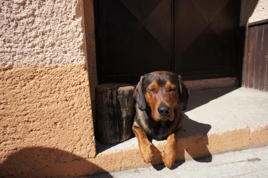 ...ja nespím, ja som iba sústredený :-)!