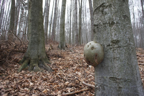 ...gulička :-)