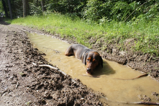 ...to je chutná vodička:-)))!