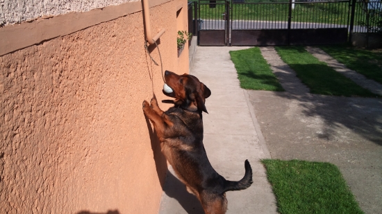 ...ale prišiel ako na to! :-)))