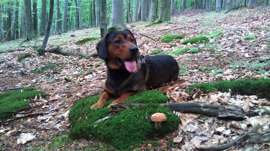 ...kde ten dubák môže byť:)?!...