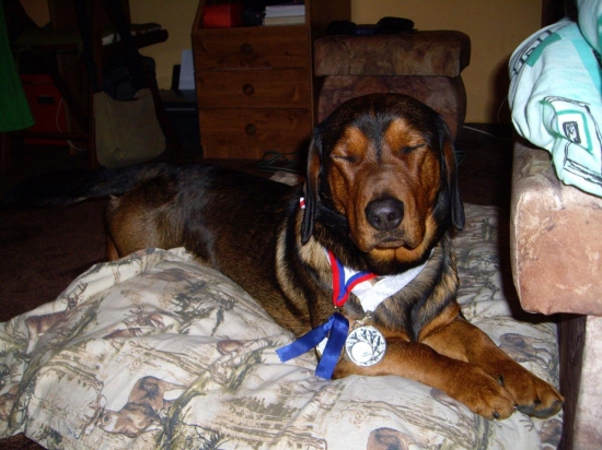 ...oslepený úspechom...alebo bleskom?? :-)))