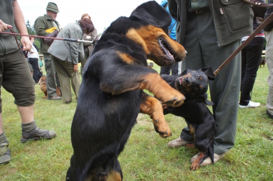 ...truľkovia :-)))!