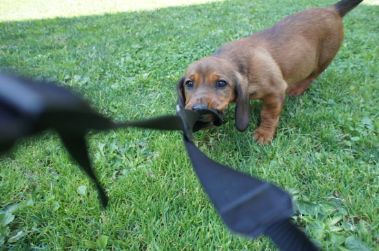 ...dajjjj...sssem...ten foťák...:-)))))