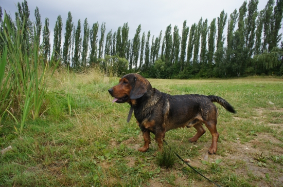 ...moje mokré zlatko ...:-)!