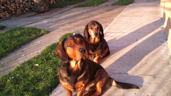 ...zopakuješ nám prosím otázku?!