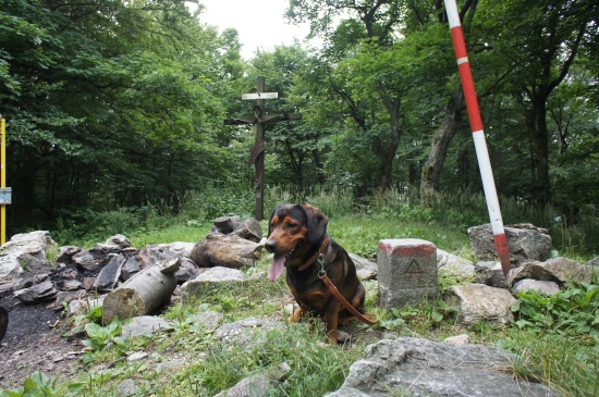 ...v nedeľu sme s Kazanom dosiahli vrchol...Považského Inovca! :-)