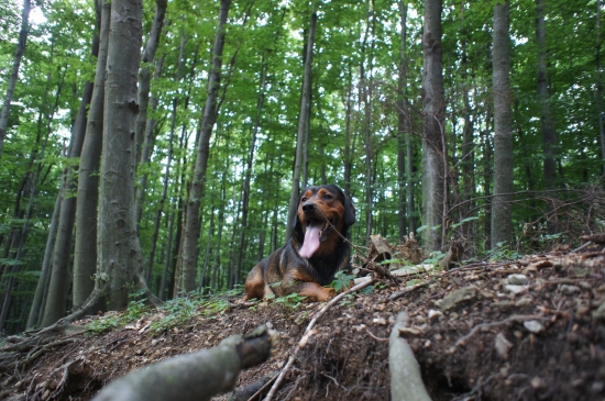 ...s paličkou v nose :-)))! (panička teda vie fotiť!)