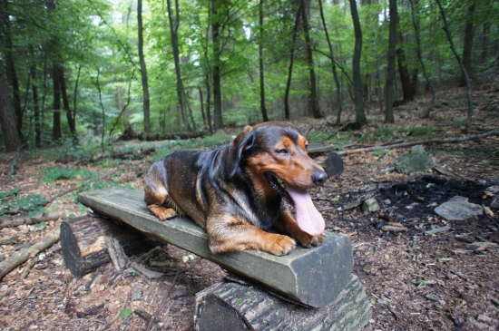 ...krátky oddych na lavičke a ide sa ďalej :-)!