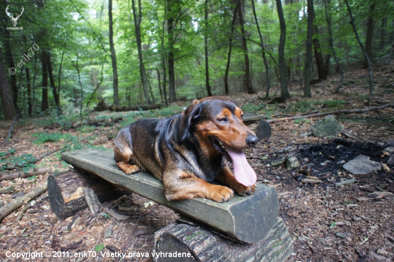 ...krátky oddych na lavičke a ide sa ďalej :-)!