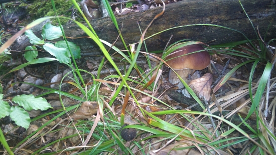 ...schovaný, neschovaný idéééém :-)!