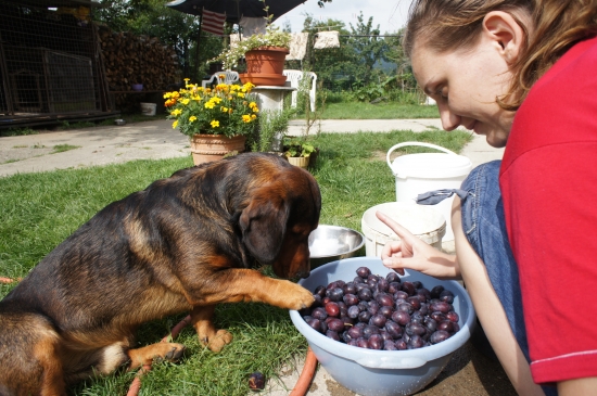 ...výstupná kontrola 