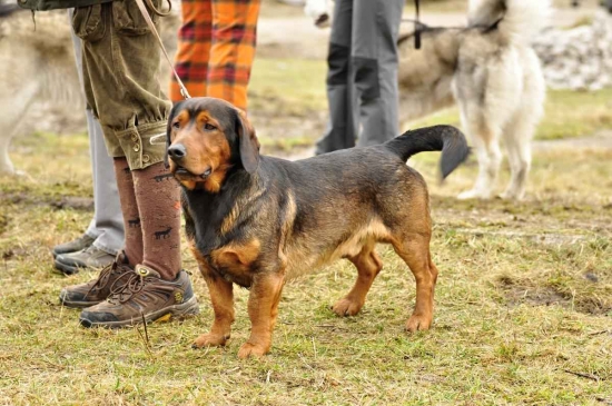 ...môj AJD...(a moje nohe :-)))! )