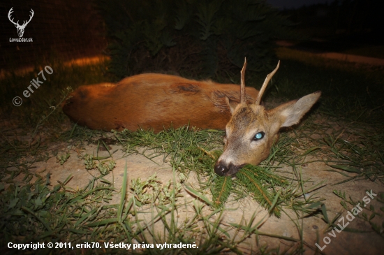 ...celkom, celkom maličká, výradová 