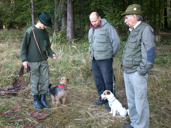 ...tak kedy už pôjdeme na tú stopu....