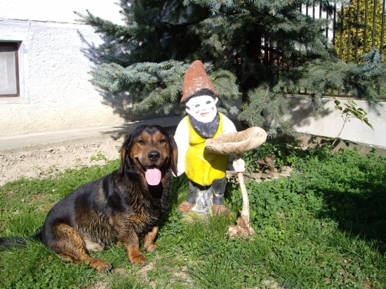 ...môj Herinko v 11 rokoch !