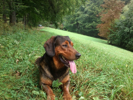 ...Kazánek na dovolenke...:-)!