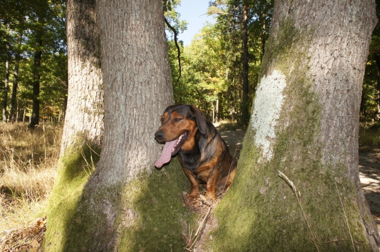 ...tak a tu ma nikto neuvidí...:-)