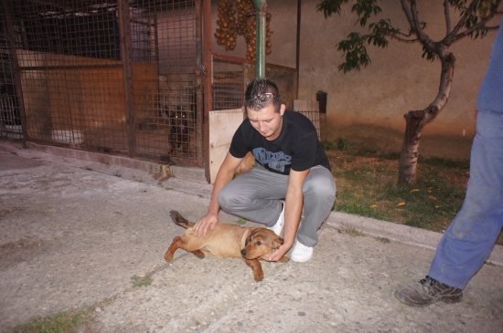 ...Arika a Martin = nová dvojka do pohonu...:-)!